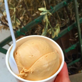 Gluten-free ice cream from Morgenstern's Ice Cream